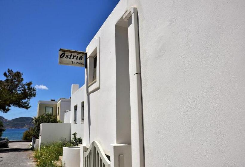 스탠다드 스튜디오, Ostria Studios
