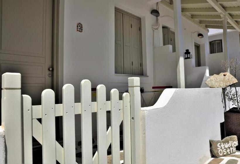 스탠다드 룸, Ostria Studios