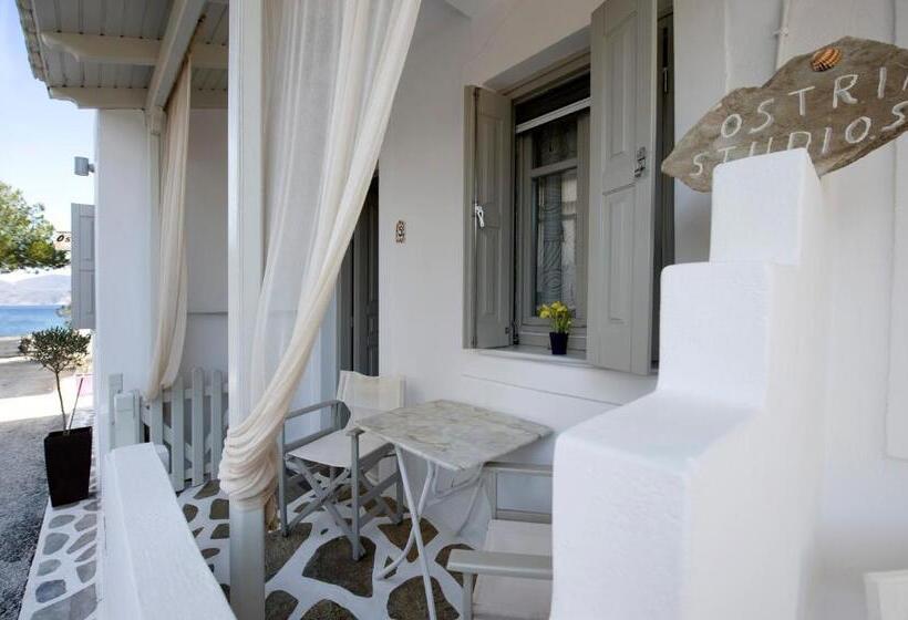 스탠다드 룸, Ostria Studios