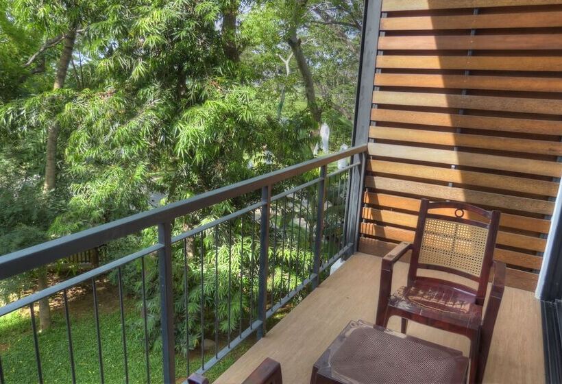 디럭스 전망 룸, The Rain Tree