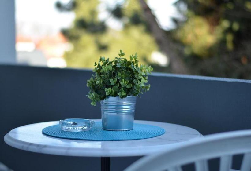 스탠다드 룸, Neu Heidelberg  Guesthouse & Apartments