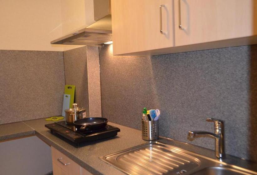 침실 1개 아파트, Neu Heidelberg  Guesthouse & Apartments