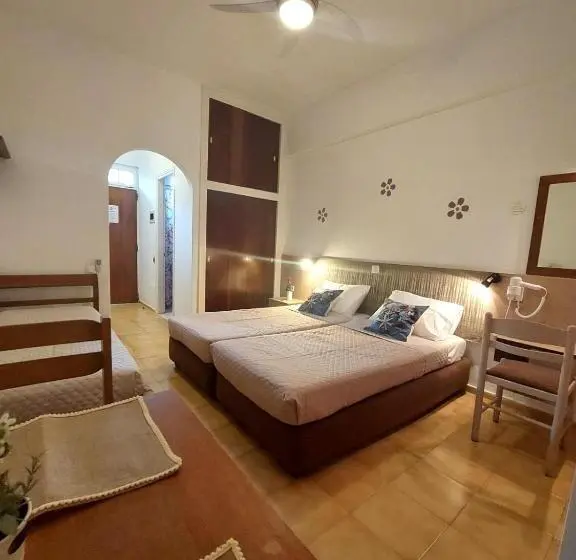 اتاق استاندارد, Dionysos Studios