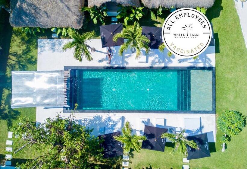 스탠다드 룸 풀장 전망, White Palm Hotel Bali