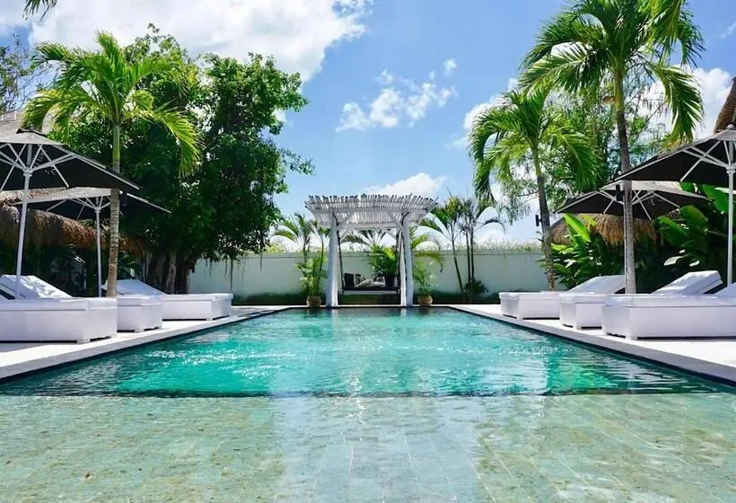 Standard-huone Allasnäkymä, White Palm Hotel Bali