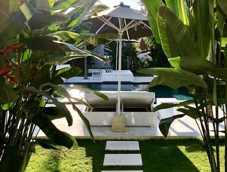 스탠다드 룸 풀장 전망, White Palm Hotel Bali