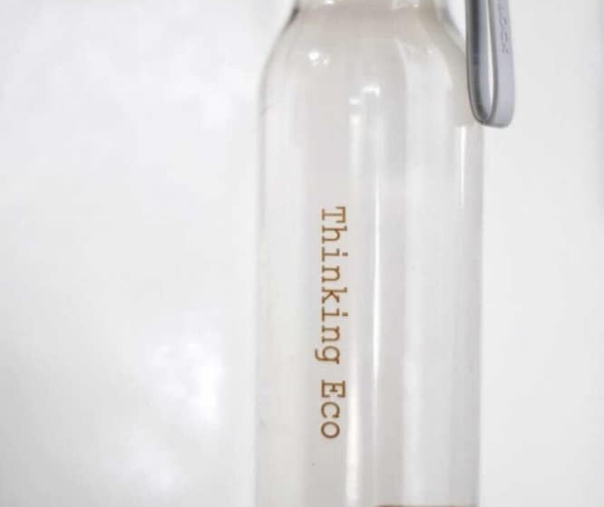 스탠다드 룸 풀장 전망, White Palm Hotel Bali