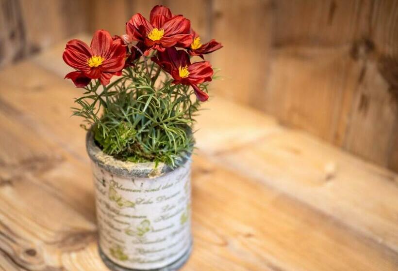 اتاق لوکس, Garni Ferienhof