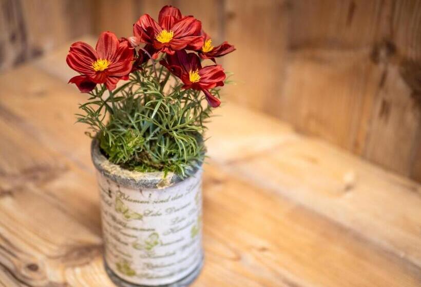 سوییت جونیور با بالکن, Garni Ferienhof