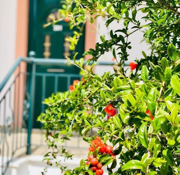 标准间, Stomio Villague