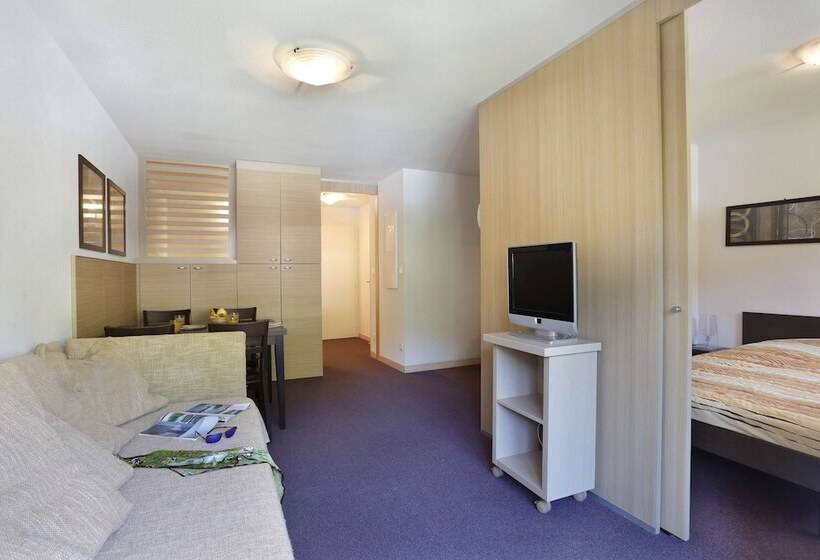 带1个卧室的公寓, Vacanceole Les Chalets Du Verdon