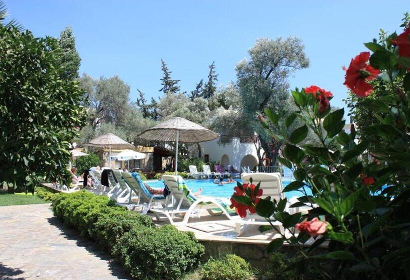 شقة غرفة واحدة, Toloman Bitezpark Apartments