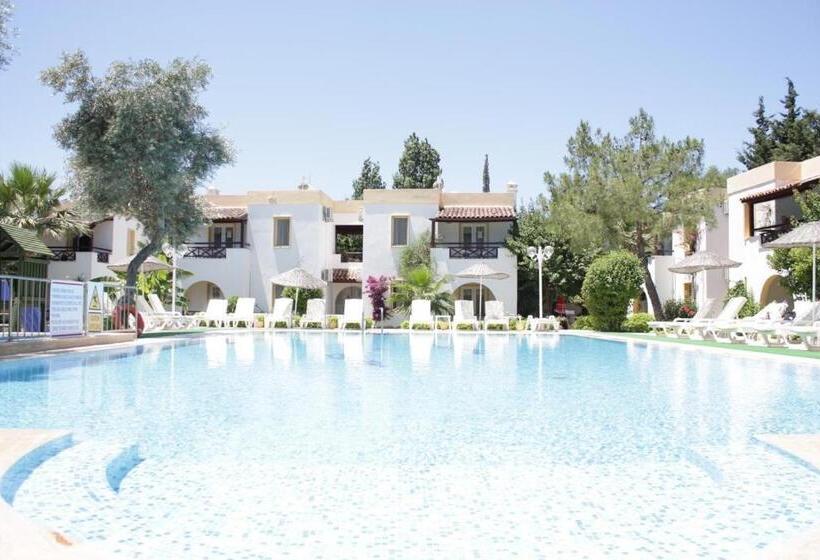 شقة غرفة واحدة, Toloman Bitezpark Apartments