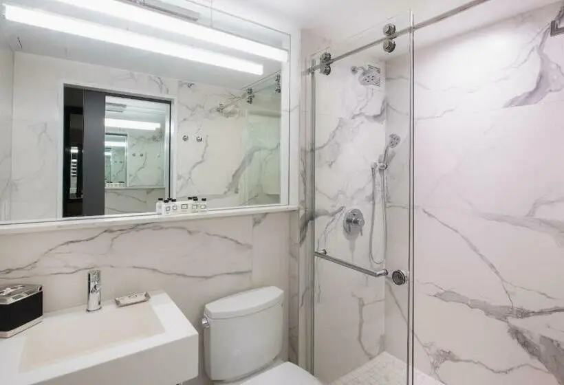 اتاق استاندارد با تخت بزرگ, Aliz Hotel Times Square