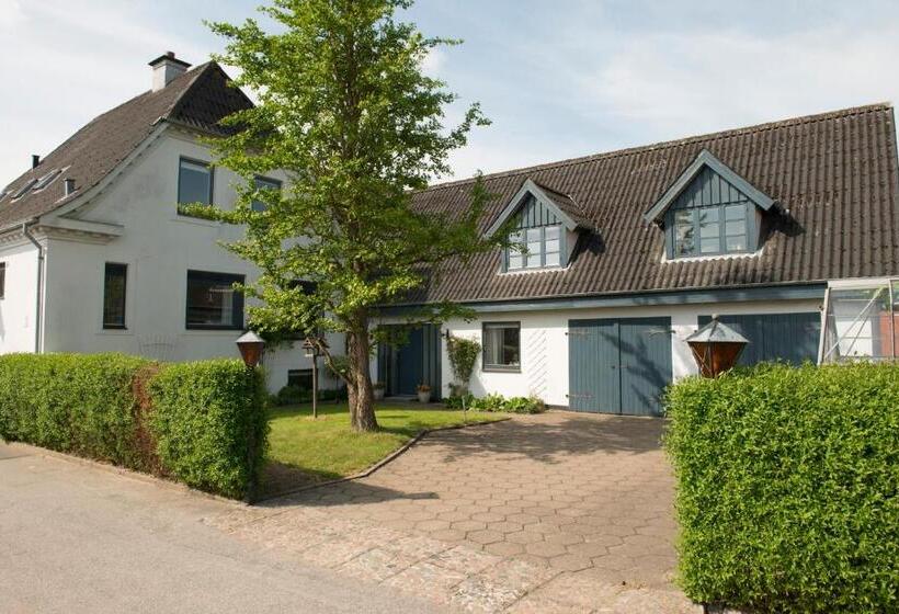 חדר סטנדרט יחיד, Herligheden