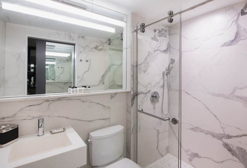 豪华房间, Aliz Hotel Times Square