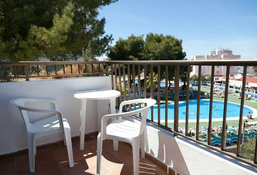 اتاق استاندارد, Vibra Riviera