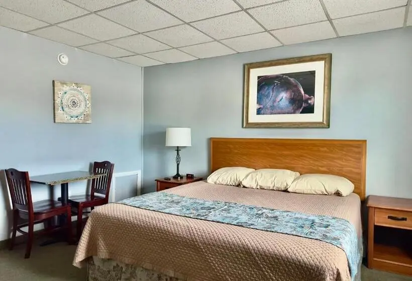 キングサイズベッドのスタンダードルーム, Colonial Valley Motel