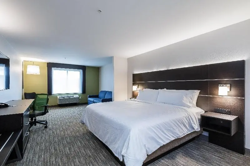 キングサイズベッドのスイートルーム, Holiday Inn Express & Suites South Bend Casino, An Ihg