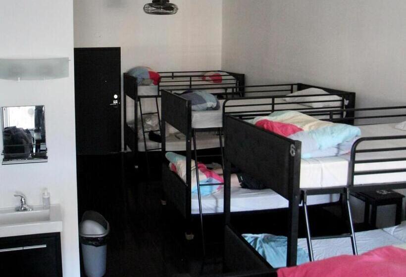 מיטה בחדר משותף, The Parkdale Hostellerie
