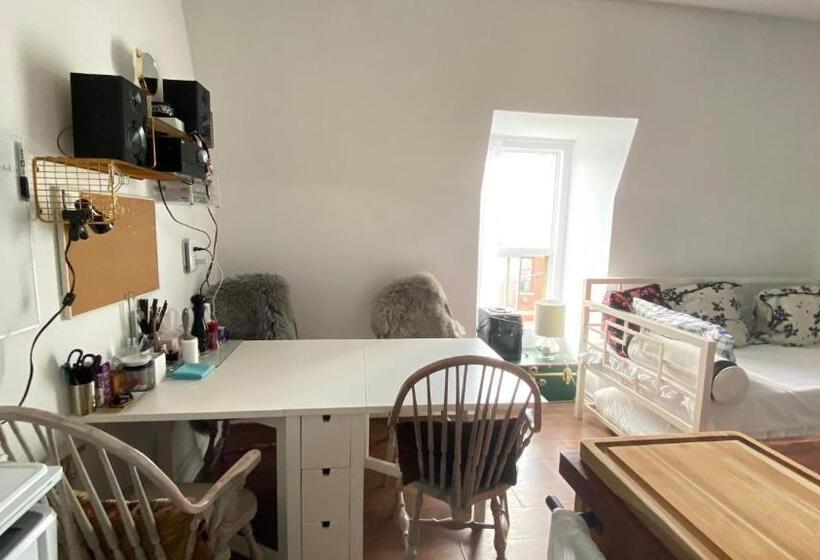 带1个卧室的带阳台的公寓, The Parkdale Hostellerie