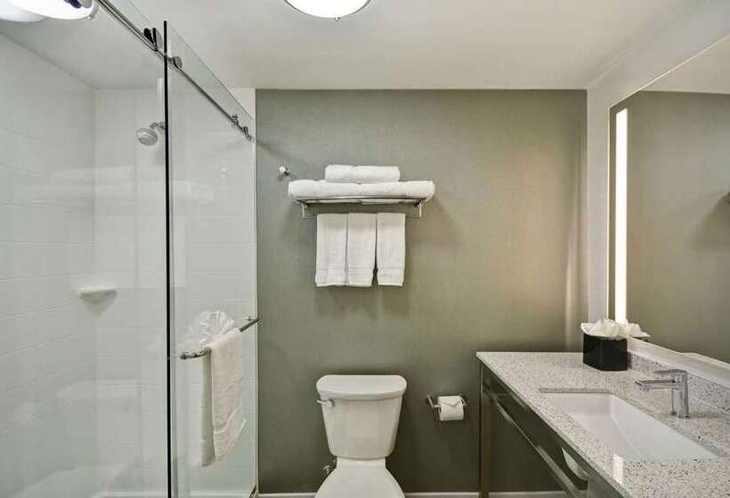 חדר סטנדרט עם מיטת קינג, Hilton Garden Inn Boise Downtown