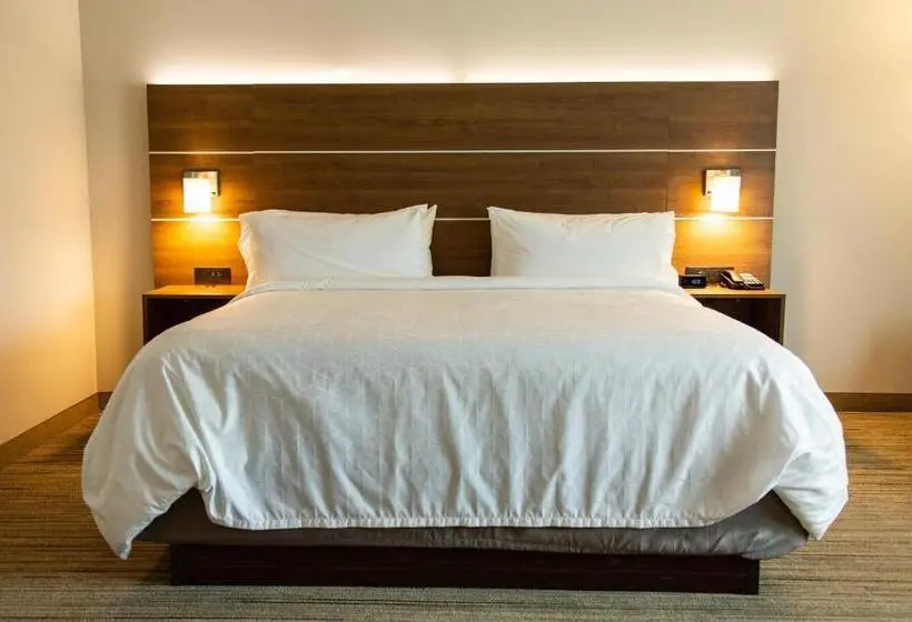 キングサイズベッドのスタンダードルーム, Holiday Inn Express   Macon North, An Ihg