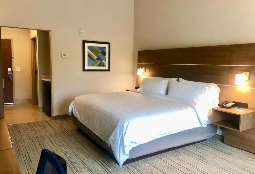 身障者適用キングサイズベッドルーム, Holiday Inn Express   Macon North, An Ihg