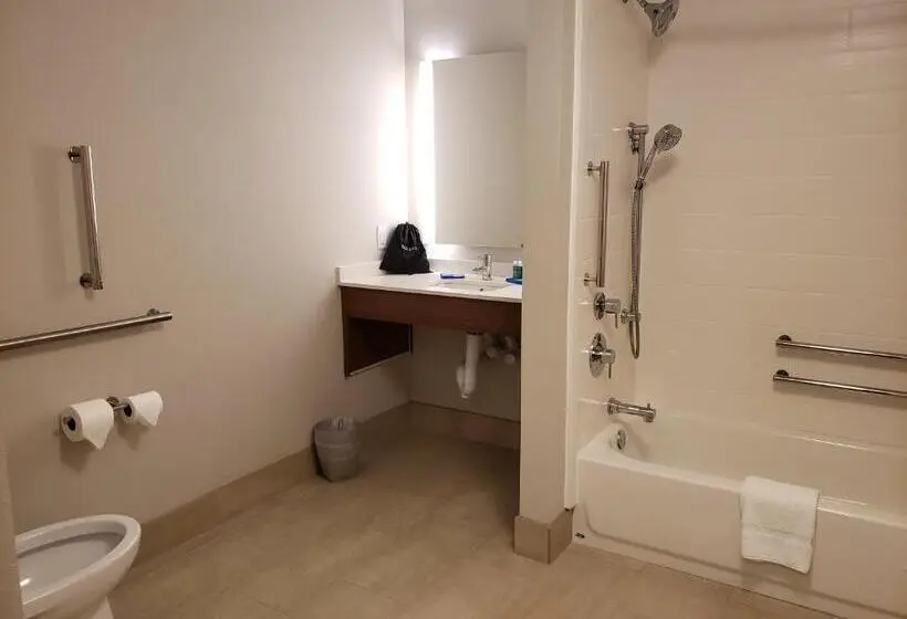 身障者適用スタンダードルーム, Holiday Inn Express   Macon North, An Ihg