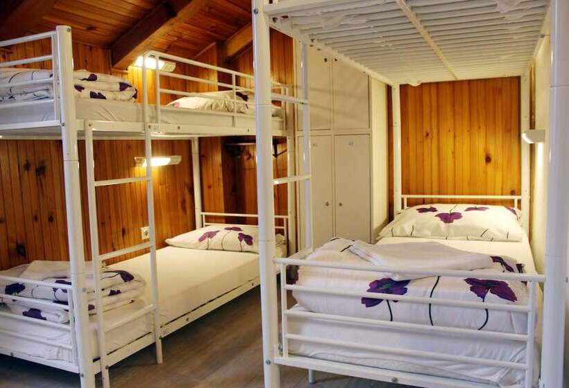 تختخواب در اتاق مشترک, Hostel Angelina Old Town Dubrovnik