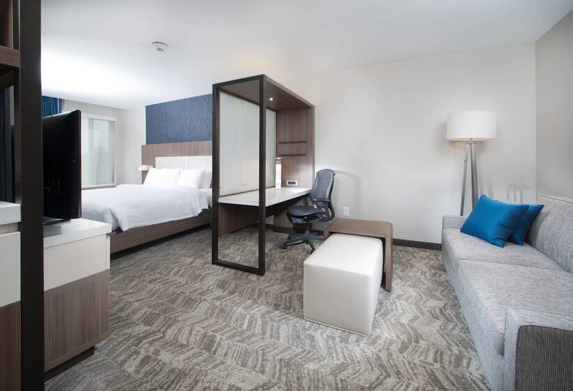 Люкс, Springhill Suites By Marriott Fayetteville Fort Liberty
