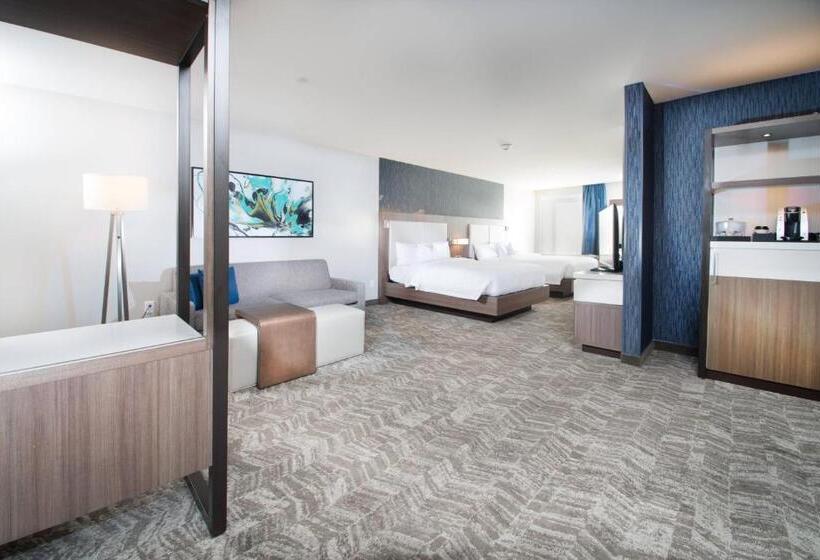 סוויטה, Springhill Suites By Marriott Fayetteville Fort Liberty