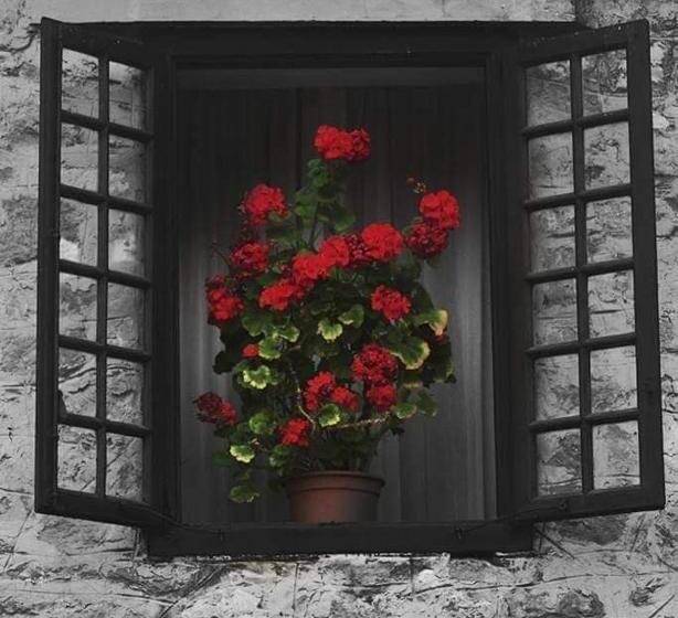 اتاق استاندارد سه تخته با بالکن, Hospedaje Octavio