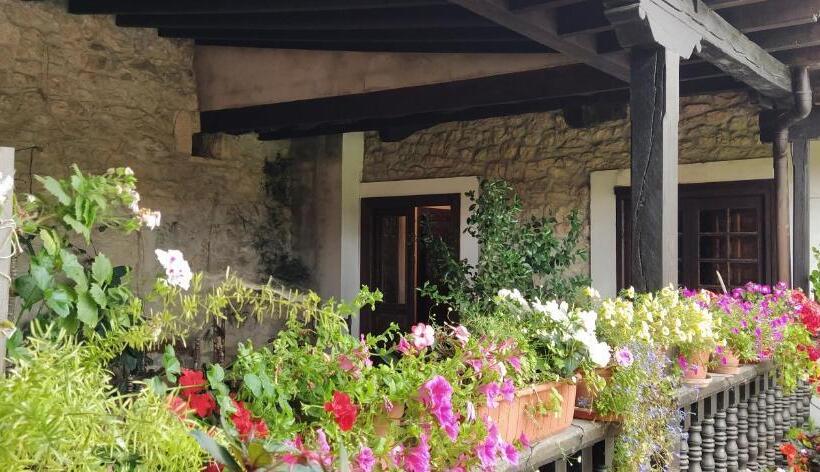 اتاق استاندارد, Hospedaje Octavio