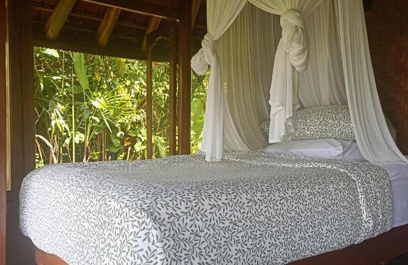 חדר אקונומי, Sarinbuana Eco Lodge