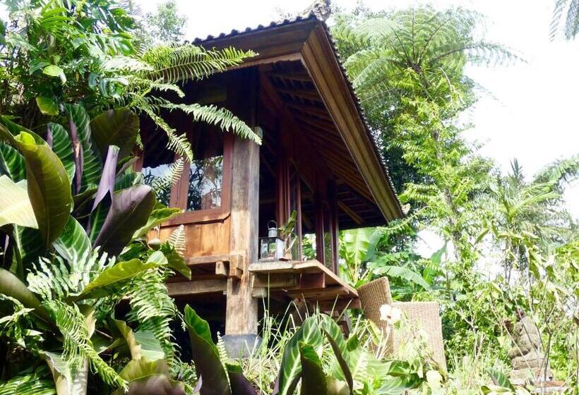 חדר אקונומי, Sarinbuana Eco Lodge