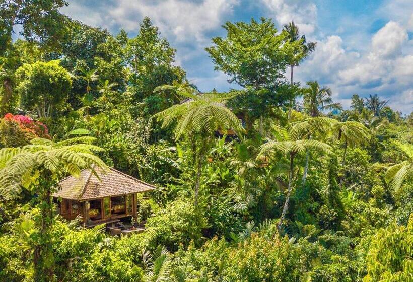 Номер Economy, Sarinbuana Eco Lodge