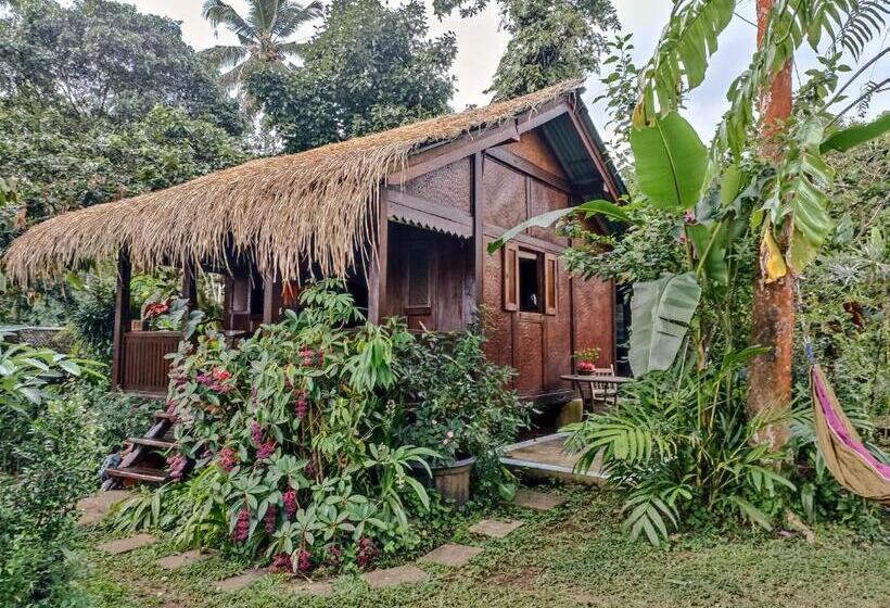 Номер Стандарт Вид на Сад, Sarinbuana Eco Lodge