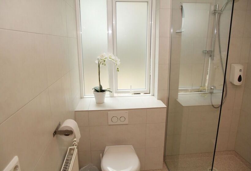 اتاق استاندارد سه تخته با سرویس بهداشتی مشترک, Olga Guesthouse