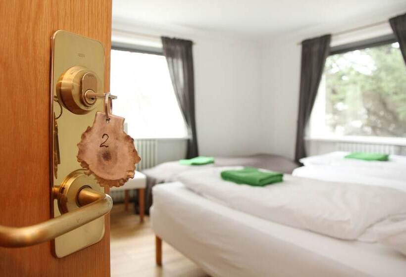 اتاق استاندارد سه تخته با سرویس بهداشتی مشترک, Olga Guesthouse