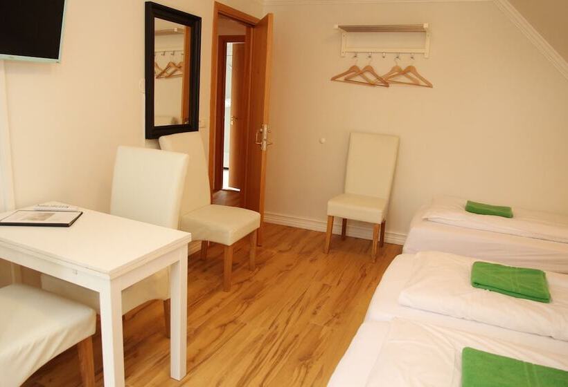 اتاق استاندارد چهارنفره با سرویس بهداشتی مشترک, Olga Guesthouse