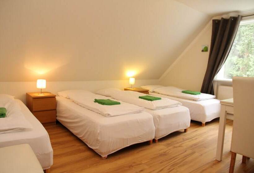 اتاق استاندارد چهارنفره با سرویس بهداشتی مشترک, Olga Guesthouse