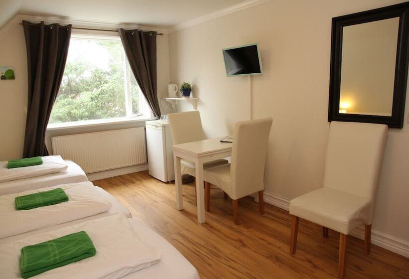 اتاق استاندارد چهارنفره با سرویس بهداشتی مشترک, Olga Guesthouse