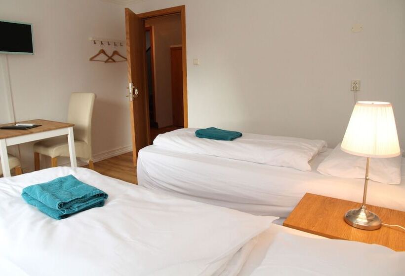 اتاق استاندارد با سرویس بهداشتی مشترک, Olga Guesthouse