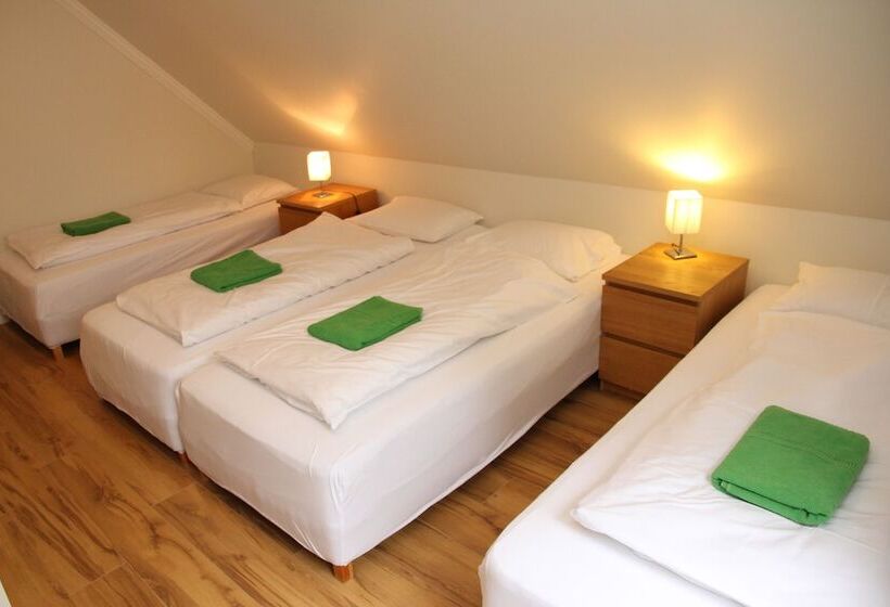 اتاق استاندارد چهارنفره با سرویس بهداشتی مشترک, Olga Guesthouse