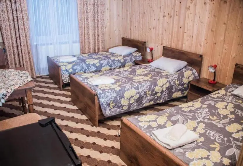 Standard Kolmen Hengen Huone, ольга готель спа