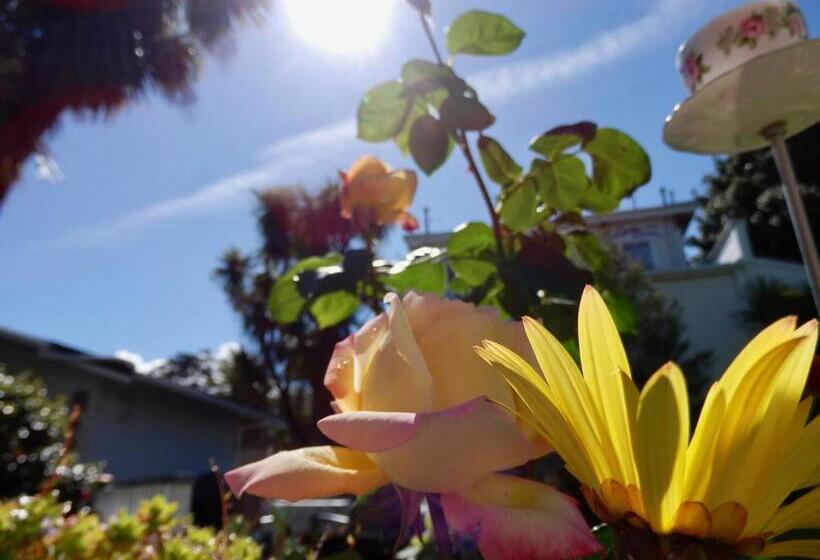 إستوديو ديلوكس, Ah House City B&b Nelson