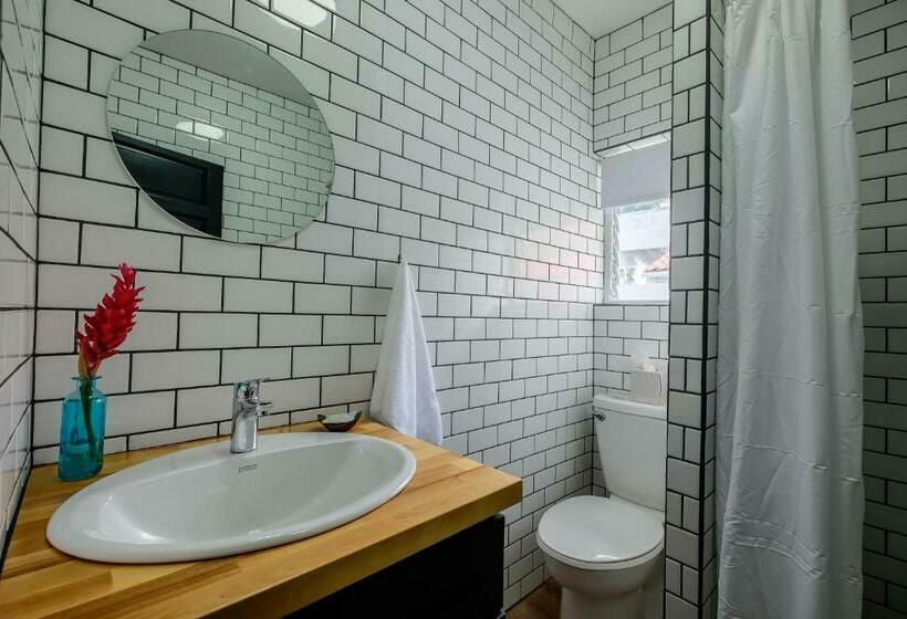 스위트, Aqua Vista