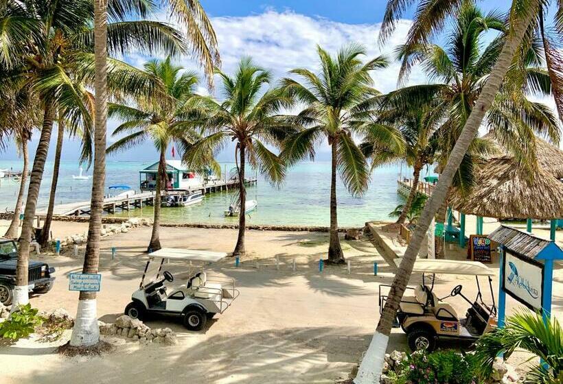 스위트, Aqua Vista