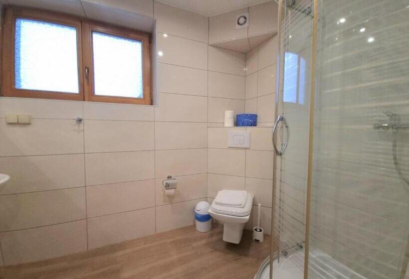 Апартаменты 1 Спальня с Террасой, Willa Antałówka